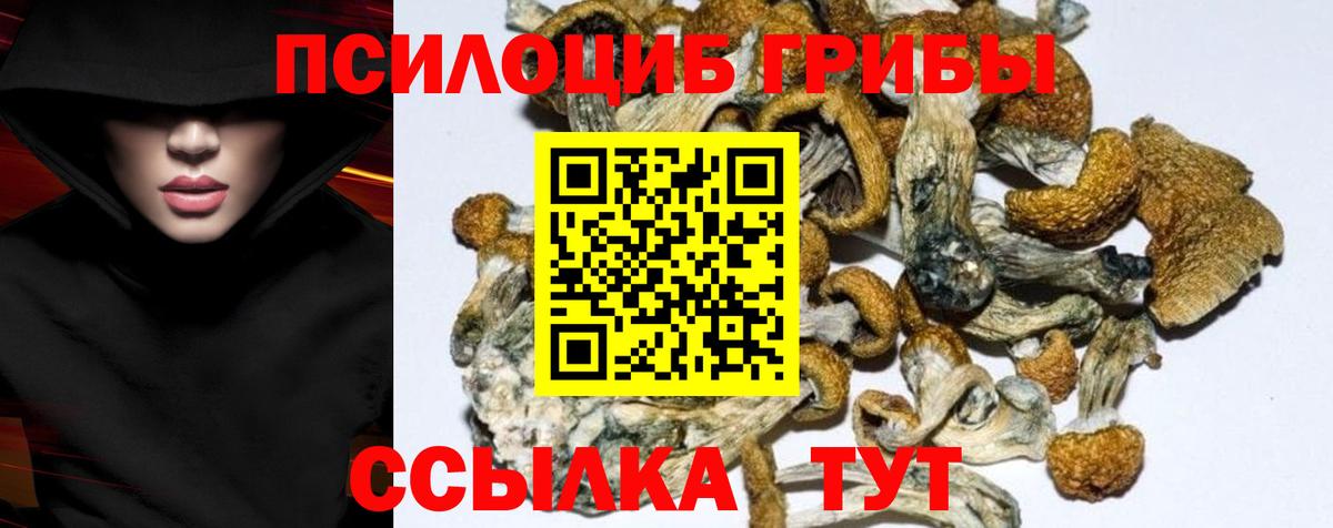 Галлюциногенные грибы Psilocybine cubensis  Вход с VPN  Чехов 