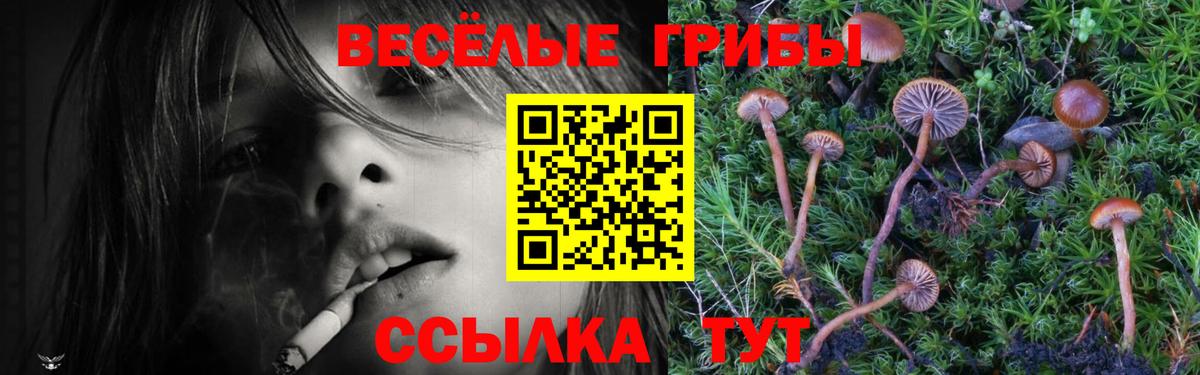 Галлюциногенные грибы MAGIC MUSHROOMS Чехов